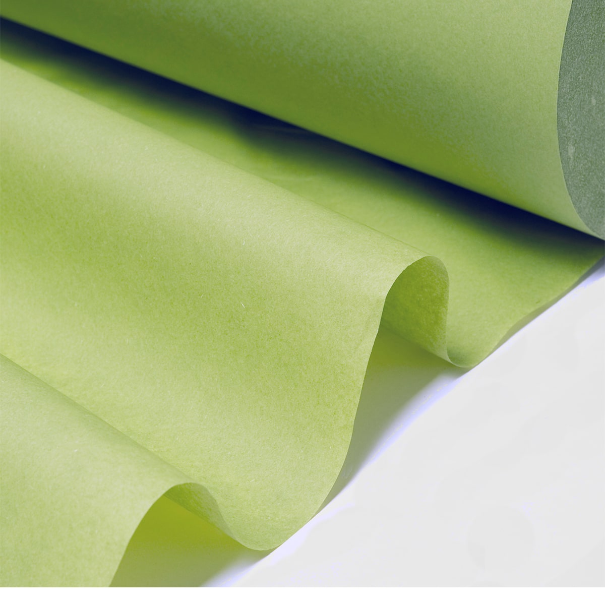 Seidenpapier Schilfgrün, 50 cm breit, 500 Meter / Rolle